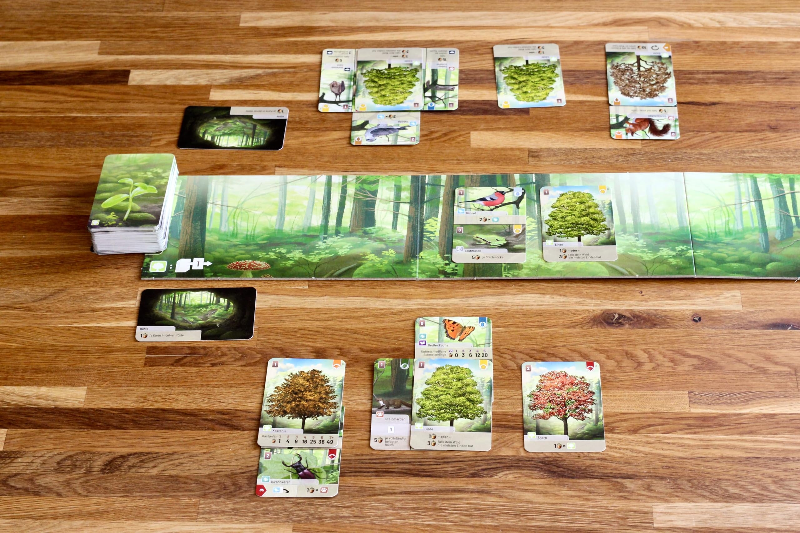Amazon Lookout Games Forest Shuffle Card Game Create An Ecological Paradise Clever Strategy Game For Kids Adults Ages 10 2 5 Players 60 Min Playtime ECO Friendly Packaging Toys Games