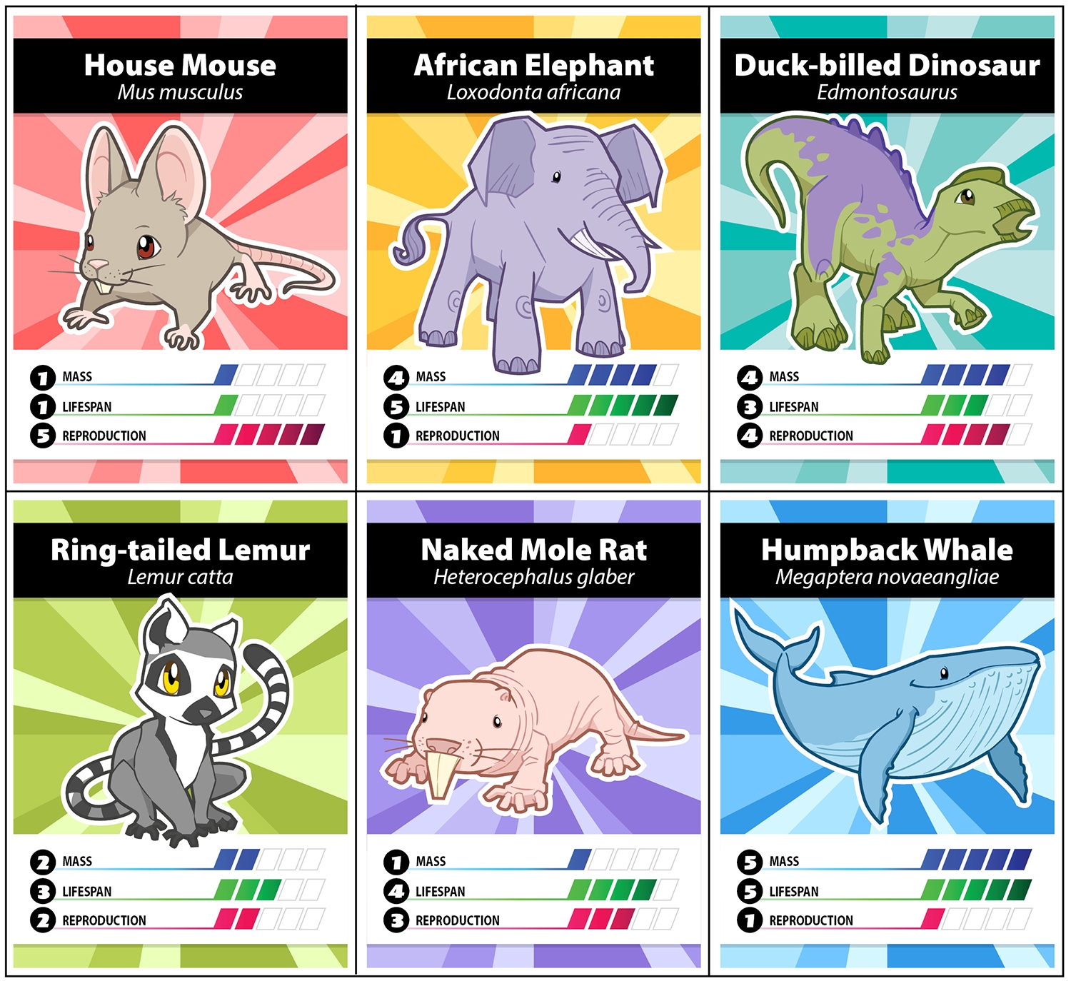 Animal Battle Cards Deviche Designs