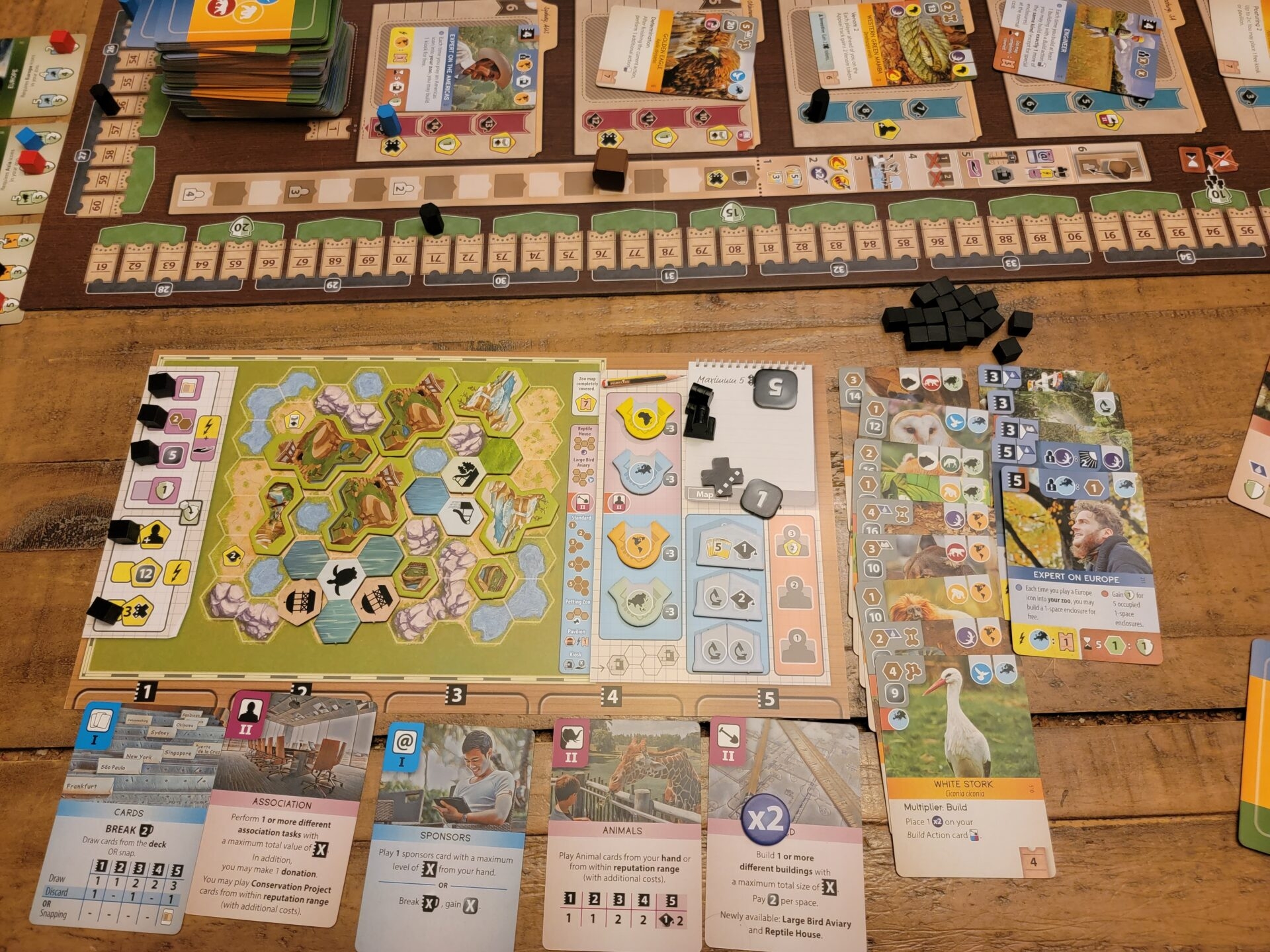 Ark Nova Review Board Game Breakdown