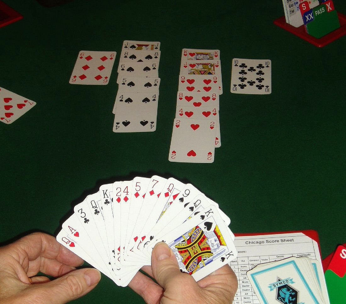 terms in bridge card game