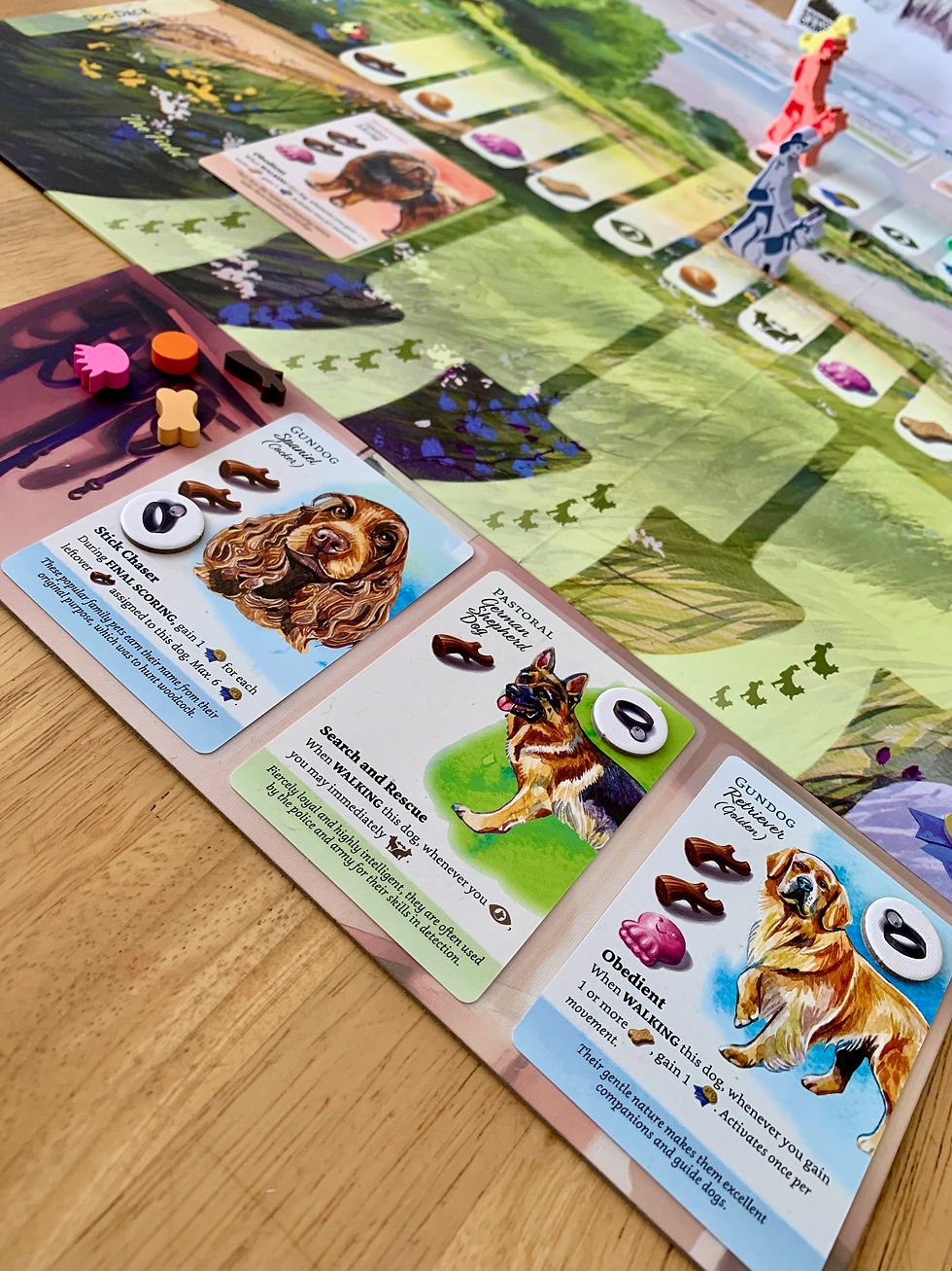 Dog Park Board Game Review