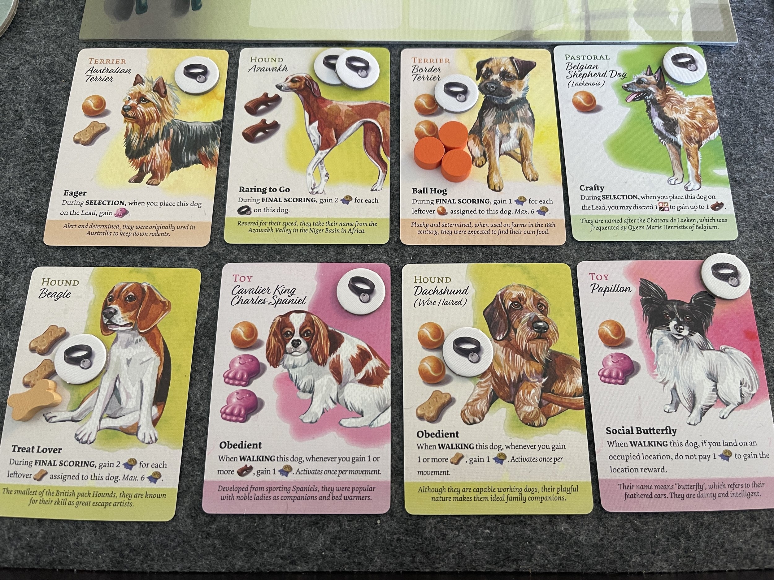 Dog Park Review Above Board