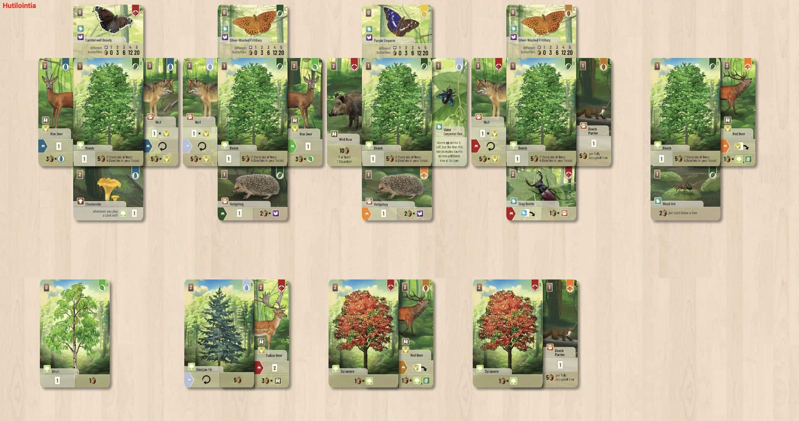 Forest Shuffle And More Gameblog