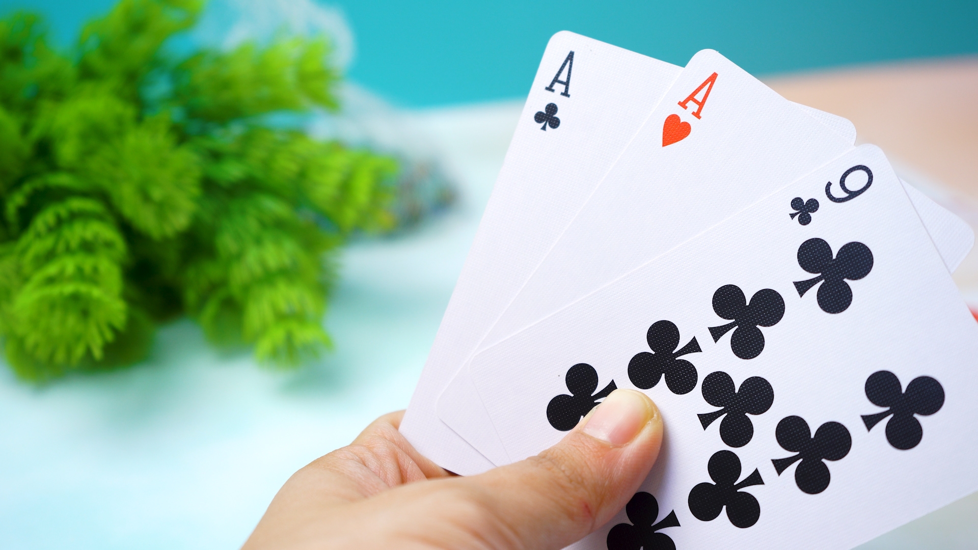 How To Play 31 with Pictures WikiHow