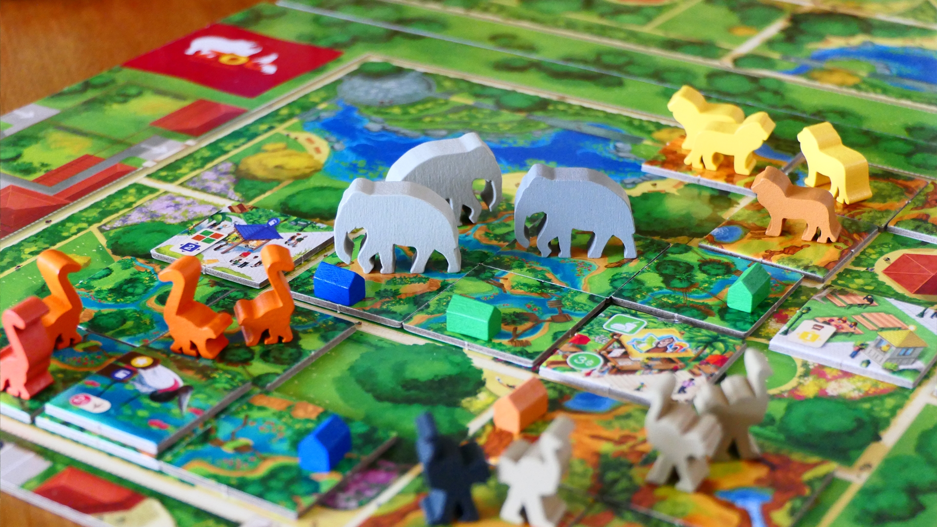 How Zoo Tycoon Became A Fully Licensed Xbox Board Game Xbox Wire