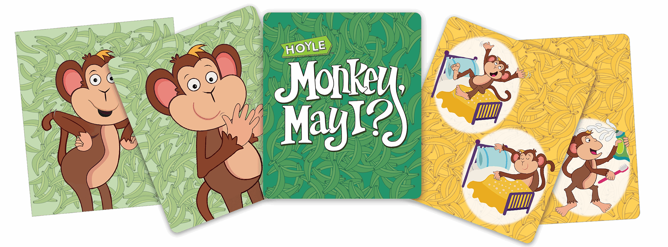 Hoyle Kids Cards