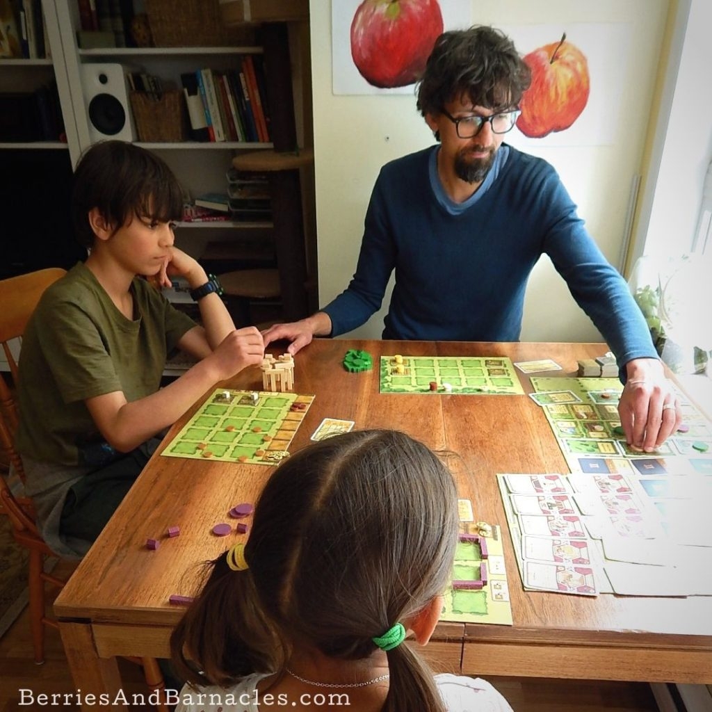 Strategic Board Games For Kids And Parents Berries Barnacles
