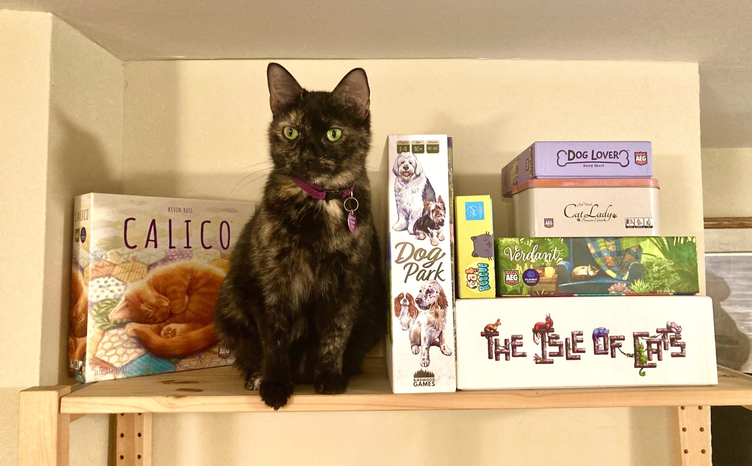The 7 Best Cat And Dog Themed Board Games For Pet Lovers
