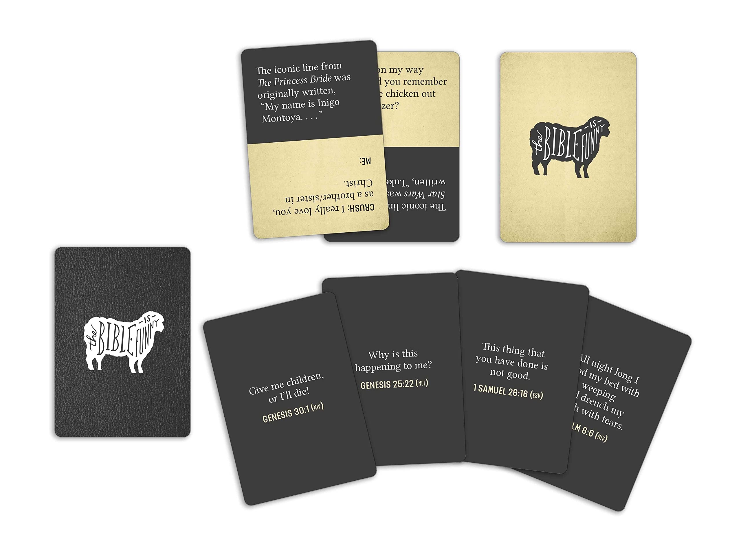 the bible is funny card game