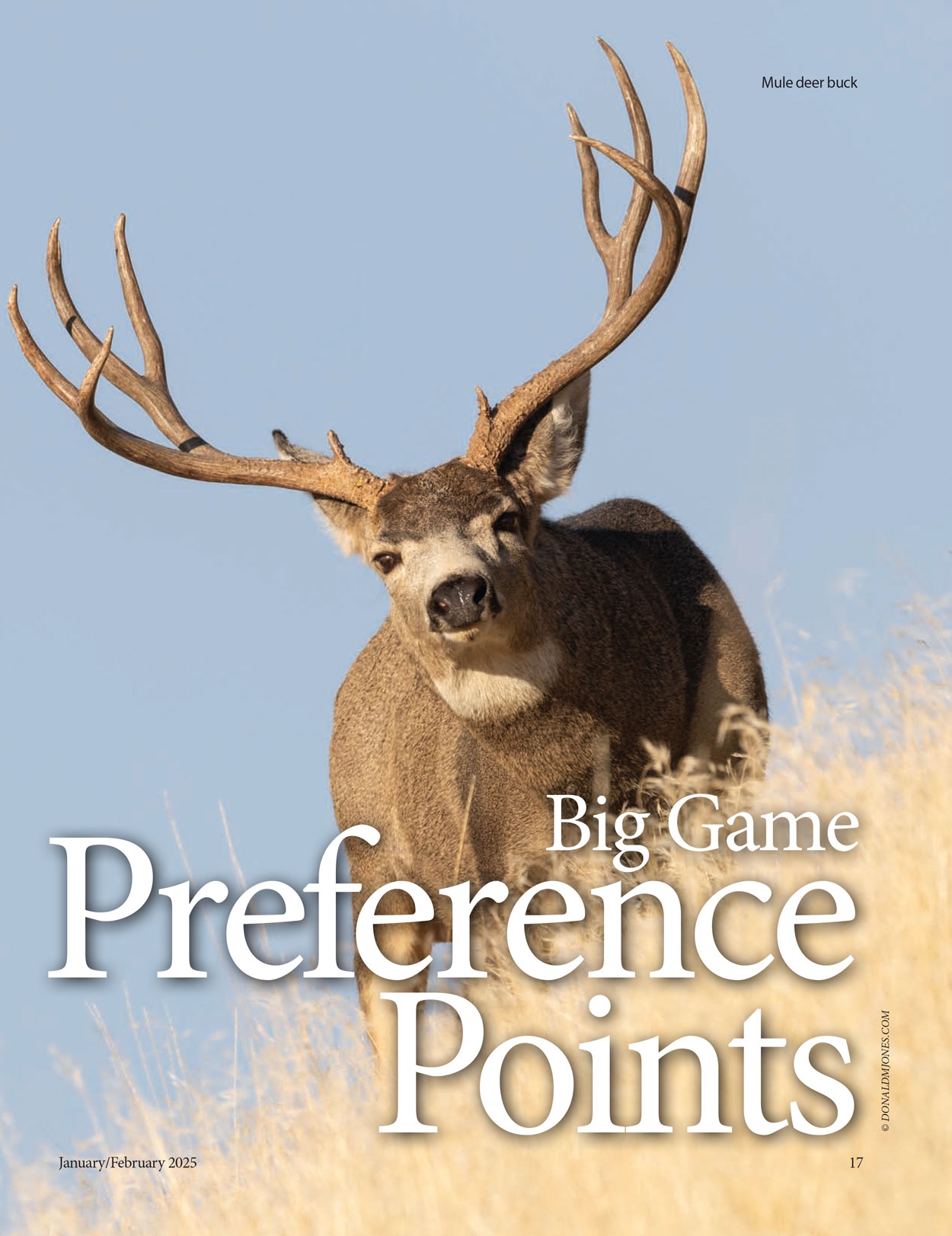 2025 Colorado Outdoors Annual Preference Point Issue Online Edition Colorado Outdoors Online
