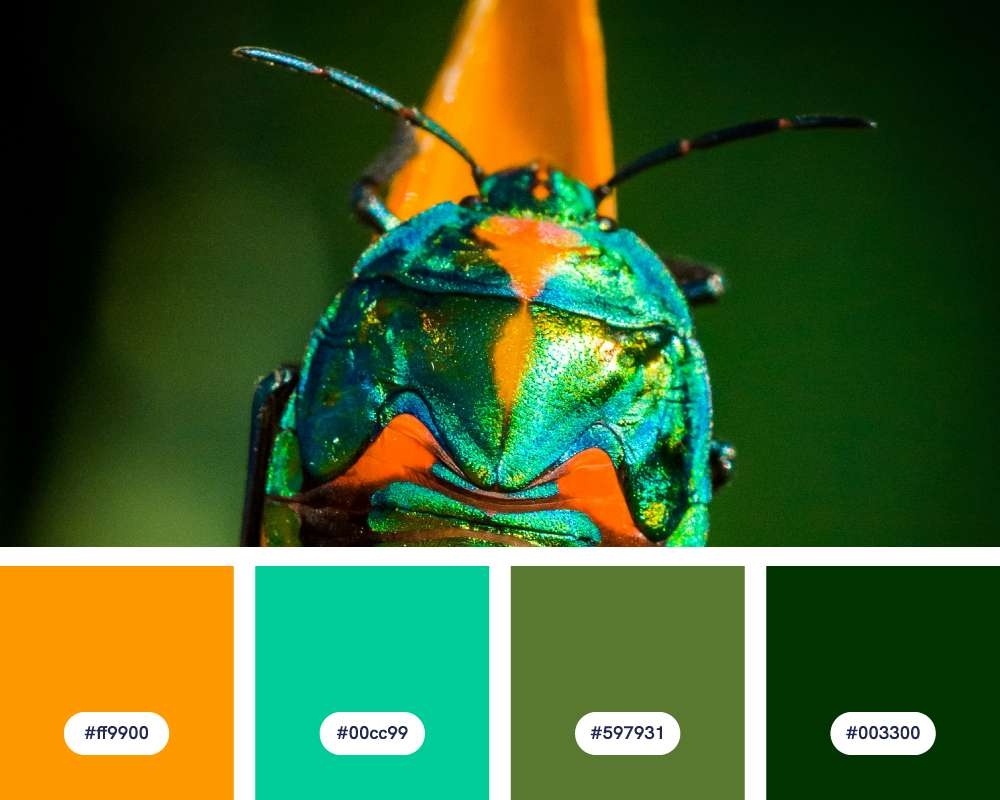 25 Green Color Palette Combinations Piktochart