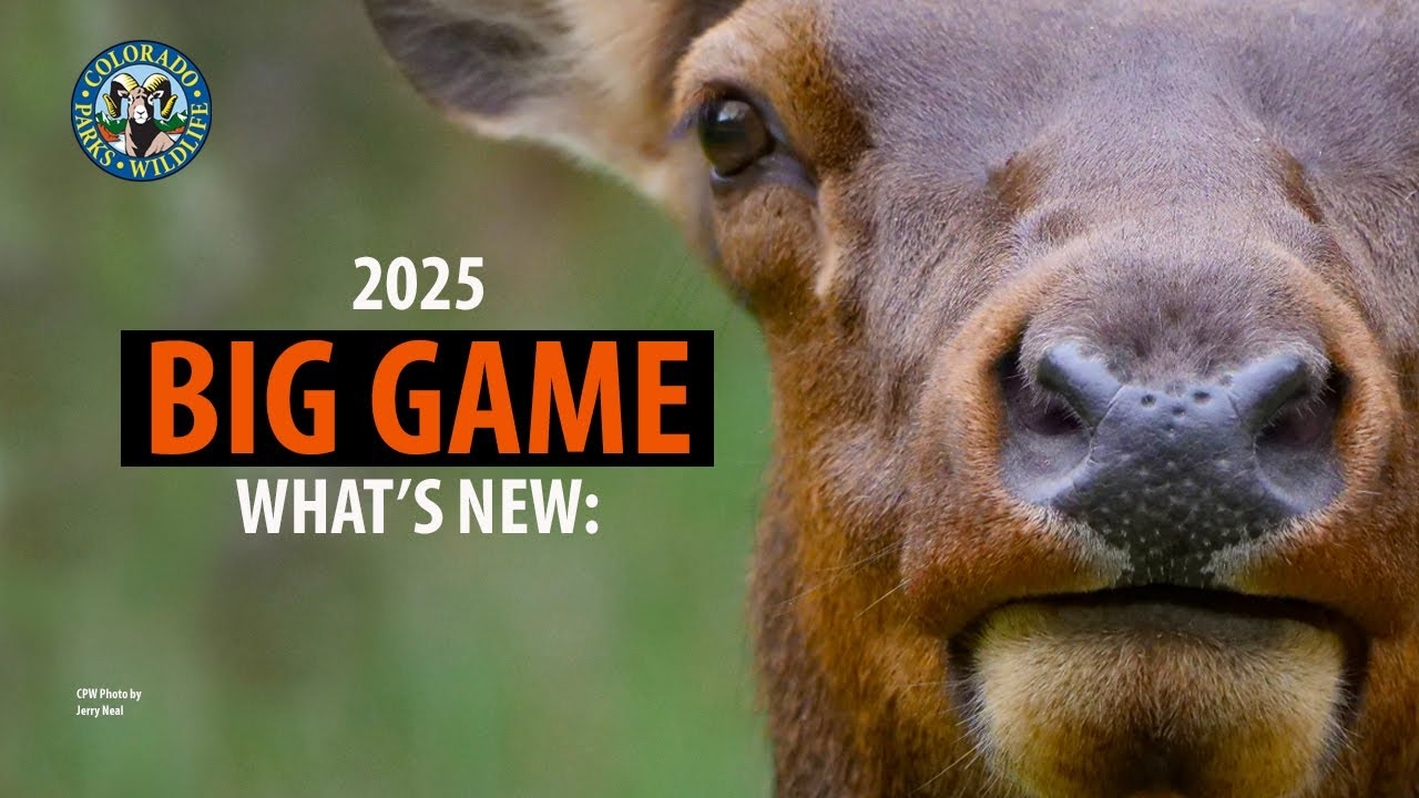 Big Game Colorado Parks And Wildlife