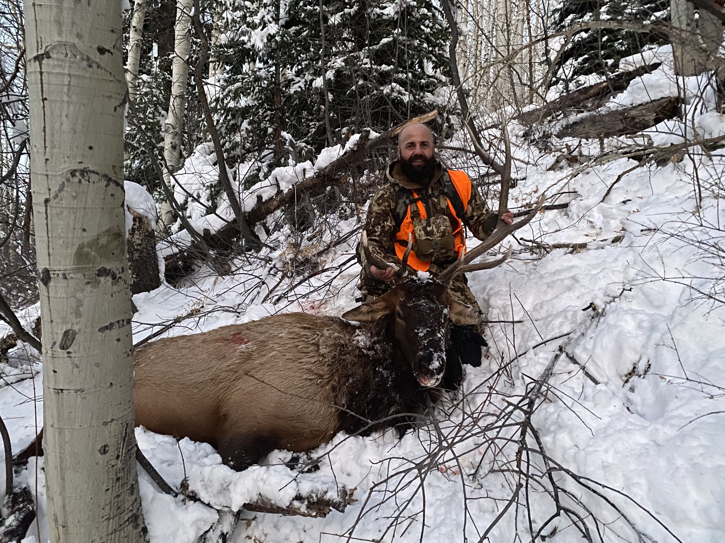 Colorado Big Game Draw Results Now Available Dark Timber Lodge