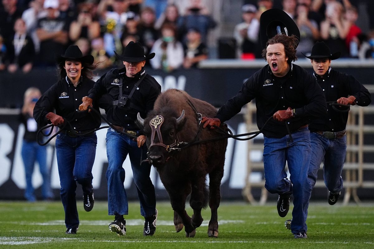 Colorado Buffaloes Vs TCU Horned Frogs Game Post The Ralphie Report