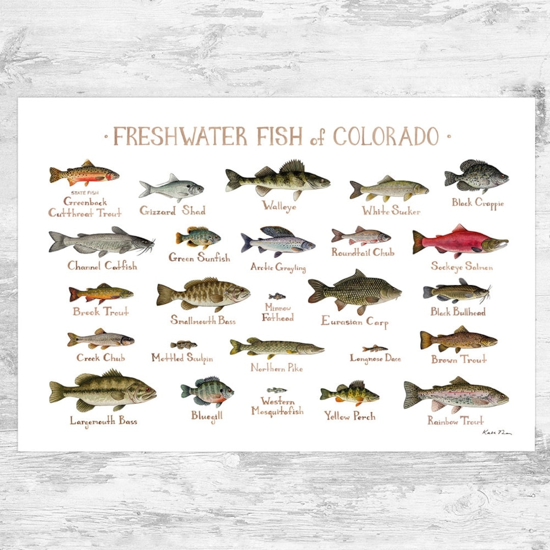 colorado fish and game login