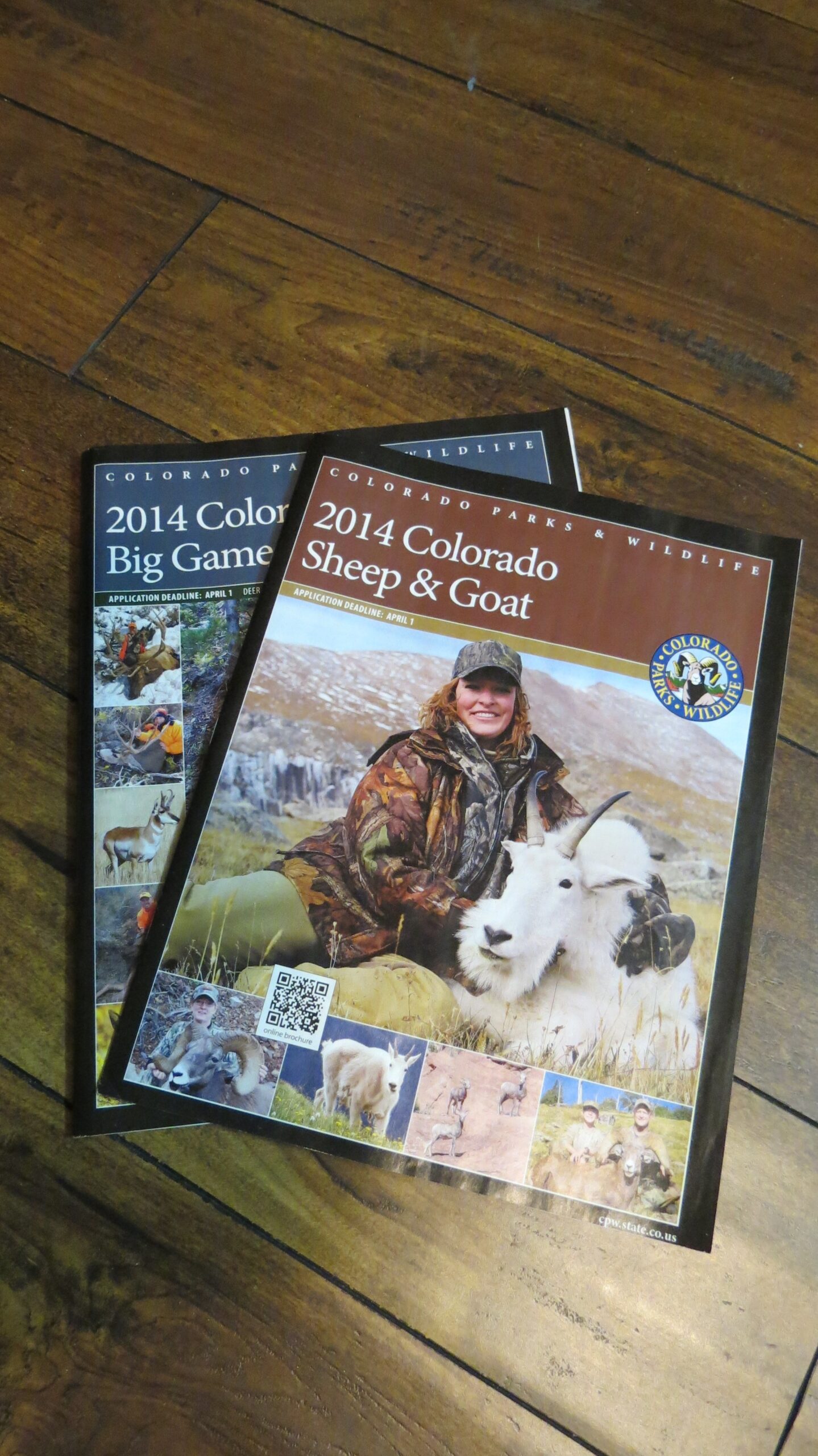 colorado big game hunting brochure