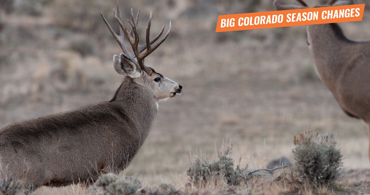 colorado big game hunting seasons
