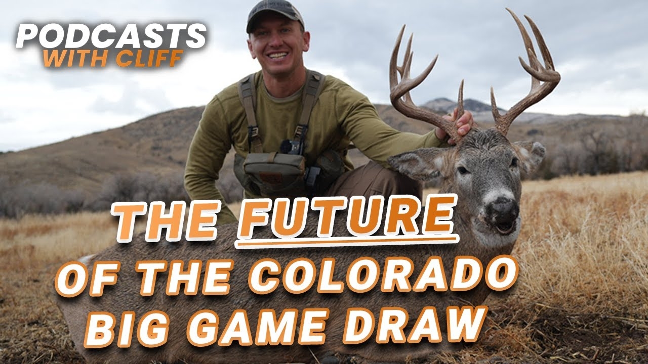 colorado big game draw