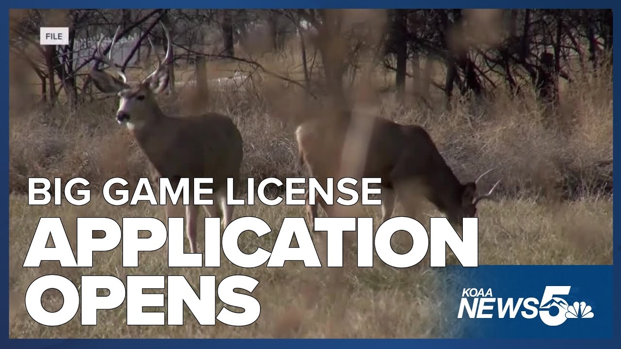 colorado big-game hunting license applications