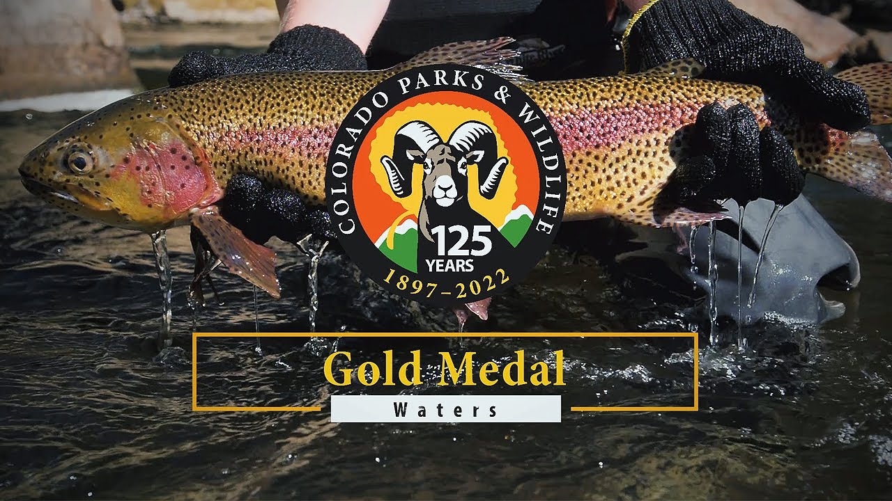 Colorado s Newest Gold Medal Waters Gunnison And Taylor Rivers Colorado Outdoors Online
