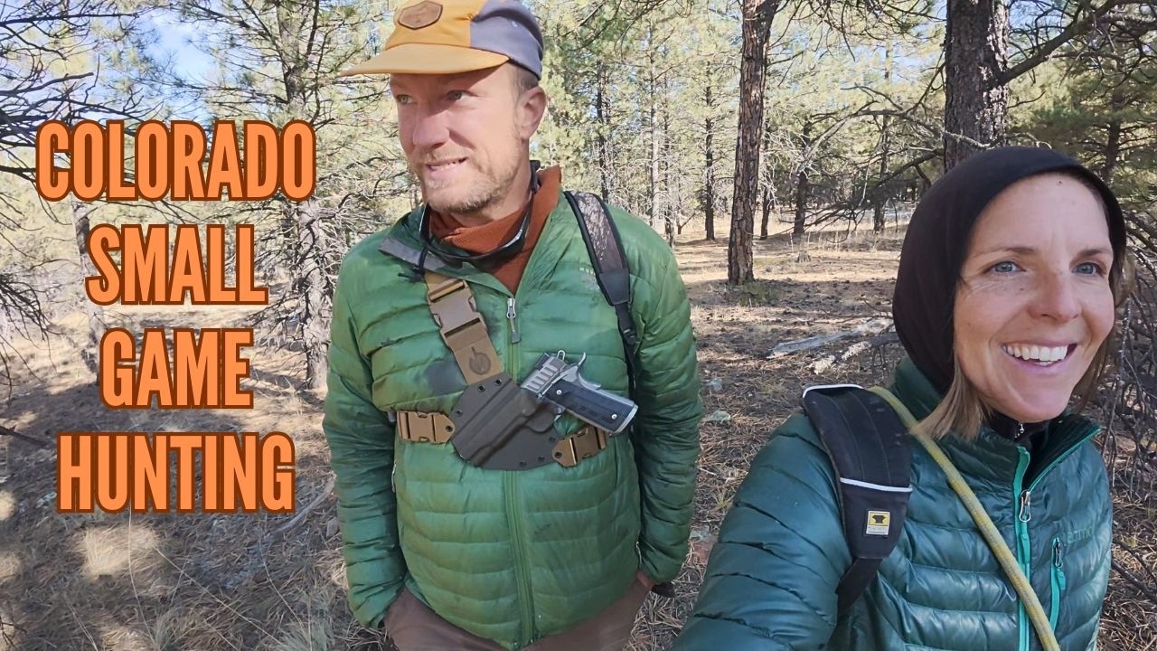 small game hunting colorado