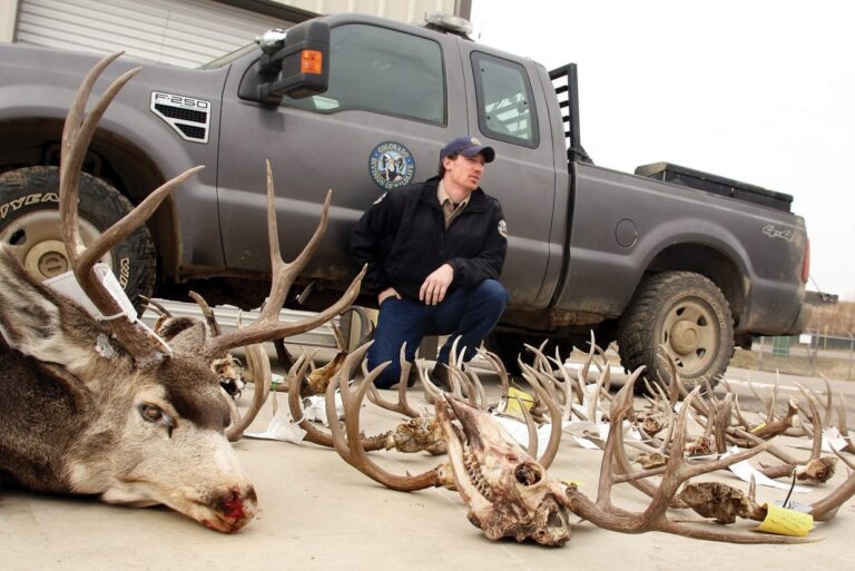 DOW Officers Discuss Poaching Cases Investigations CraigDailyPress