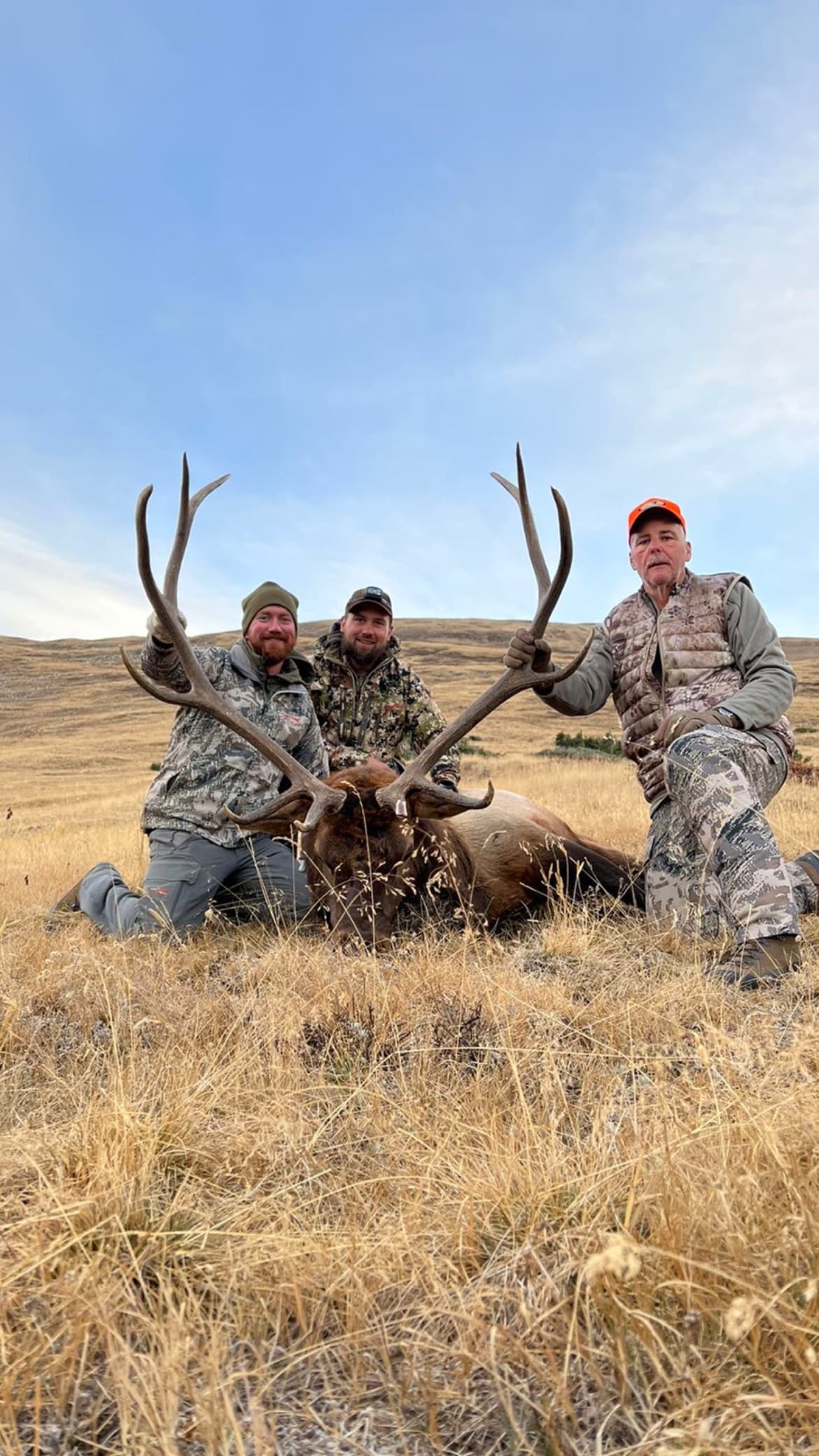 colorado big game hunting