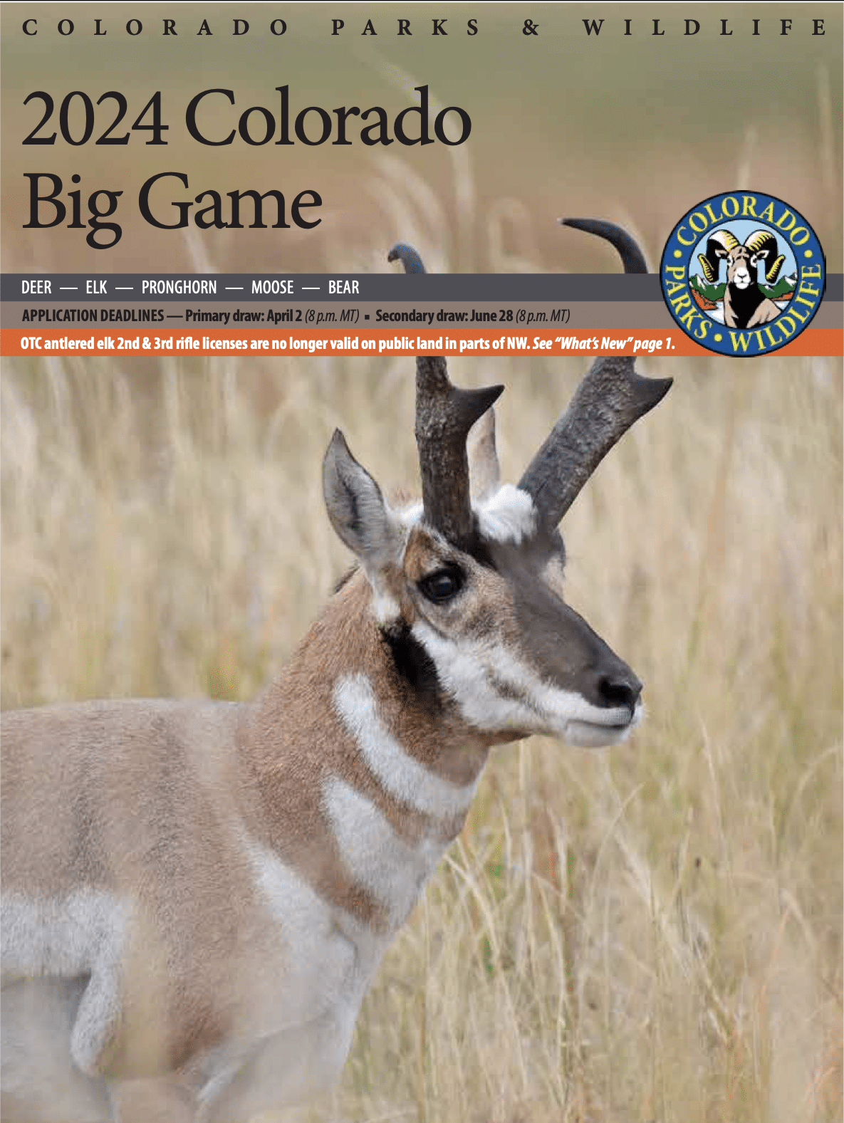 Guide To The Colorado 2024 Big Game Draw For Elk Mule Deer And Bear Along With A How To Apply For These Species In The Area FTWG Services Flat Tops Wilderness Guides