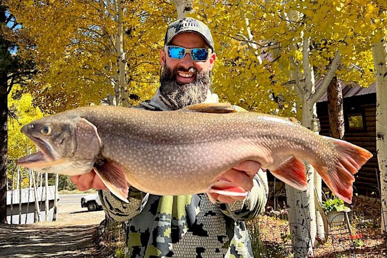 New Record Brook Trout Reported In Colorado Game Fish